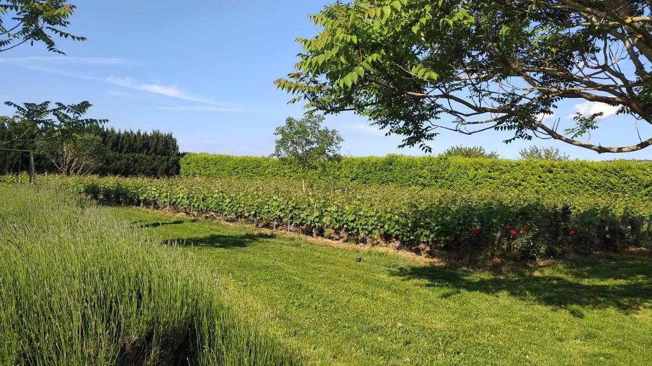 Comblanchien Clos Des Chenevieres, 3 Etoiles מראה חיצוני תמונה